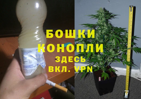 гидра Красноперекопск