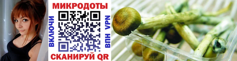 Псилоцибиновые грибы мицелий  Зуевка 