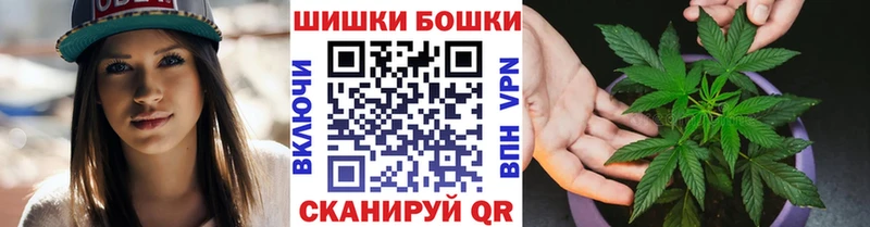 Канабис семена  Зуевка 